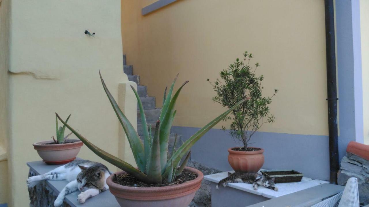 Hotel La Stanzetta Viola à Fezzano  Extérieur photo